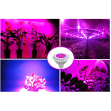 LED Plant Grow Light For Hydroponic 14w white finish led grow light ,14w growing led light for plant growth